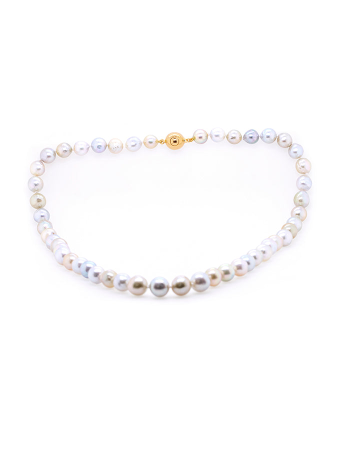 South Sea Pearl Strand Multi Coloured in 9mm GP Clasp. 45cm.