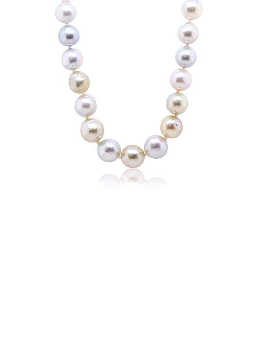 South Sea Pearl Strand Multi Coloured in 9mm GP Clasp. 45cm.