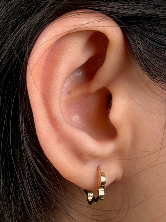 10mm Scalloped Huggie Earrings in 9 Carat Yellow Gold