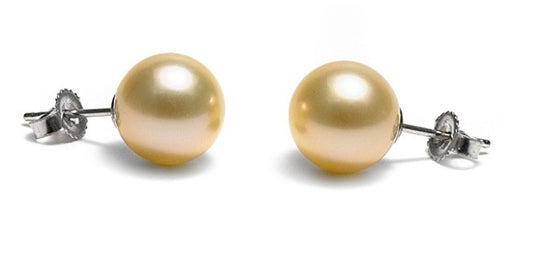 Golden South Sea Pearl Studs, 9K White Gold