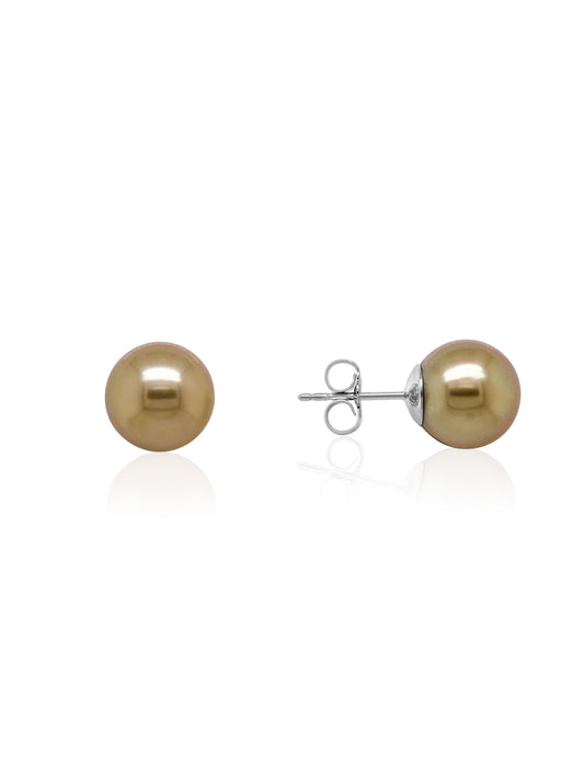 Golden South Sea Pearl Studs, 9K White Gold
