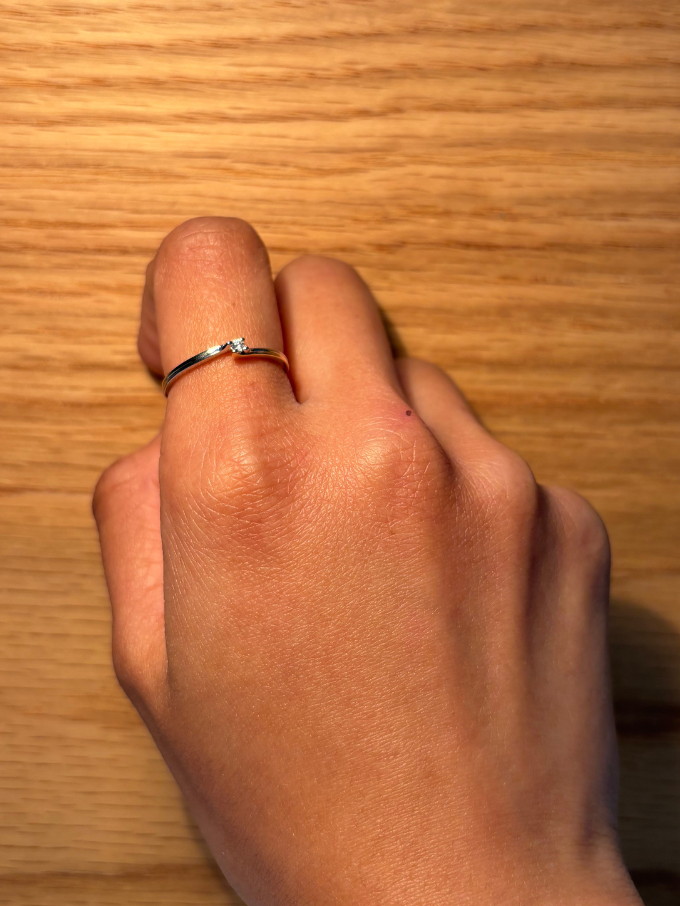 0.05 Carat Diamond Set Two Tone Ring in 9 Carat Yellow & White Gold